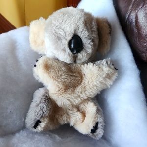 Australian koala hand puppet